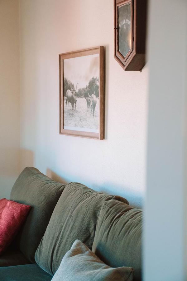 Just Like Home - Casa Antonio Em Paredes De Coura Exterior photo